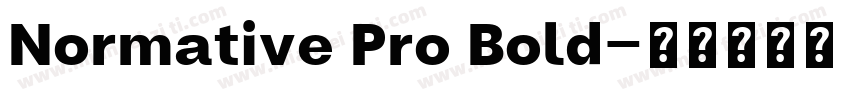 Normative Pro Bold字体转换